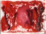 Gehe zu Bild 'Ameise' Gehe zu Bild 'Ameise'