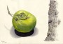 Gehe zu Bild 'Apfel' Gehe zu Bild 'Apfel'